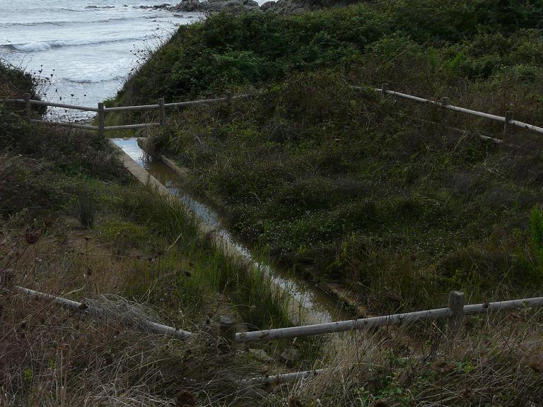 Ripristino di un fontanile a Baratti (Piombino - LI)